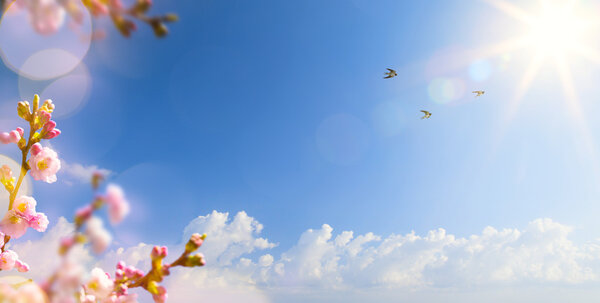 Abstracto Fondo de paisaje de primavera con aves voladoras y Sprin Fotos De Stock Sin Royalties Gratis