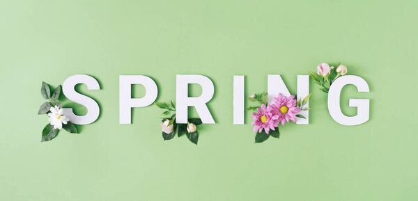 Letras Primavera Con Flores Blancas Rosas Sobre Fondo Verde Pastel Imágenes De Stock Sin Royalties Gratis