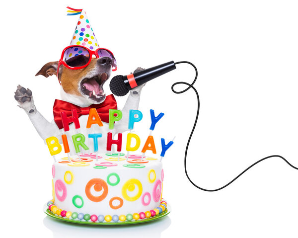Feliz cumpleaños perro Imagen De Stock