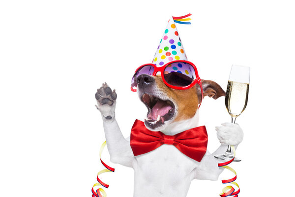 Feliz cumpleaños perro Fotos De Stock Sin Royalties Gratis