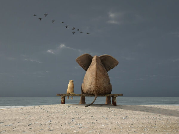 Elefante y perro se sientan en una playa desierta Fotos De Stock Sin Royalties Gratis